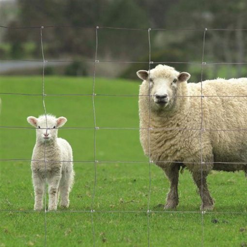 Aceros Metales y Mallas Ltda - PROXIMAMENTE vamos a ofrecer Malla Ganadera  ó Graduada. Es una solución económica para dividir espacios de animales  medianos como ovejas, cabras y terneros. Su instalación es